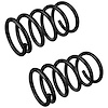 JCS1674T Coil Spring Set Fits Select Ford Models, Constant-Rate, Position: Left/Driver or Right/Passenger - image 1