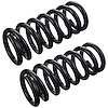 JCS1675T Coil Spring Set Fits Select Chevrolet Models, Constant-Rate, Position: Left/Driver or Right/Passenger - image 1