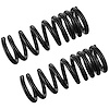JCS1689T Coil Spring Set Fits Select Dodge Models, Constant-Rate, Position: Left/Driver or Right/Passenger - image 1