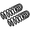 JCS1724T Coil Spring Set Fits Select Nissan Models, Variable-Rate, Position: Left/Driver or Right/Passenger - image 1