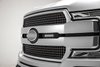 OEM GRILLE - image 2