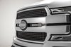 OEM GRILLE - image 2