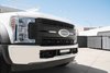 OEM GRILLE - image 2