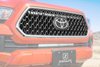 OEM GRILLE - image 3