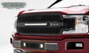 ZROADZ BUMPER GRILLE - image 2