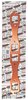 FOG-7209C RCC Header Gaskets Chrysler Indy Cyl 440-1 & Max BB, Square Port - image 2