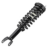 11094 Pre-Assembled Complete Strut Assembly Fits Select Dodge Dakota, Mitsubishi Raider [Front] - image 1