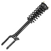 11720 Suspension Strut & Coil Spring Assembly Fits Select Mercedes-Benz R350, Mercedes-Benz R500, Mercedes-Benz R320 [Front]