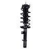 Complete Strut Assembly - image 1