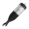 18-118101 Air Suspension Strut Assembly Fits Select Ram 1500 [Front Left] - image 1
