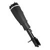 18-172001 Air Suspension Strut Assembly Fits Select Land Rover Range Rover [Front Left] - image 1