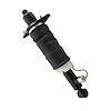 18-529902 Air Suspension Strut Assembly Fits Select Audi Allroad Quattro [Rear Right] - image 1