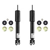 2-211110-001 Gas Shock Absorber Set Fits Select GM [Front] - image 1