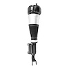 Electronic Air Strut Asse