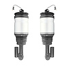 2-28-573001-28-573002 Air Suspension Strut Fits Select Land Rover Range Rover Sport [Rear] - image 1