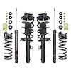 98300 Lowering Kit Fits Select Ford Focus [Front/Rear] - image 1