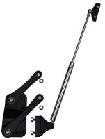 Hood Hinges