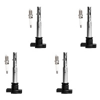 OE Replacement Ignition Coil and Spark Plug Kit, Volkswagen Passat/Golf