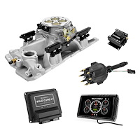 AY1164 Wild Card 2 EFI - Top End Kit