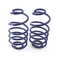 StreetGrip Dual-Rate Coil Springs 1968-1972 Chevelle A-Body