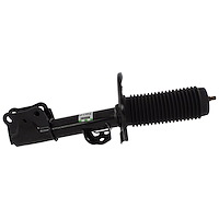 SHOCK ABSORBER ASY (P)