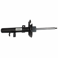 SHOCK ABSORBER ASY (P)