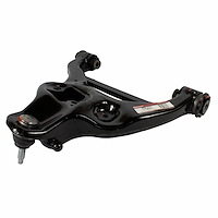 ARM ASY - FRONT SUS (P)
