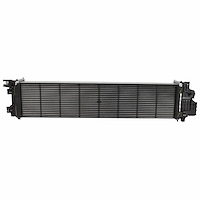 RADIATOR ASY (P)