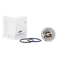 THERMOSTATASY (P)
