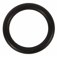 SEAL (P)