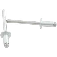 3/16" Small Head Rivets Grip Range: 1/8" - 1/4"