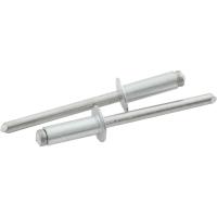 3/16" Small Head Rivets Grip Range: 1/4" - 3/8"