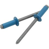 3/16" Small Head Rivets Grip Range: 1/4" - 3/8"