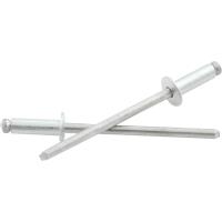 1/8" Small Head Rivets Grip Range: 1/8" - 1/4"