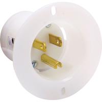 Electrical Plug Outlet Only