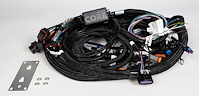 Drive-By-Wire ECU Wiring Harness for GM Gen IV 58x LS Engines COR-HAR-002