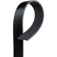 V-Ribbed Serpen (PARITY)