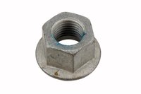 NUT (SLP-1)