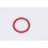 SEAL-RAD OTLT PIPE O RING