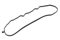 Valve Cover Gas (SLP-P1)