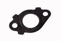 GASKET-EGR PIPE (SLP-1)