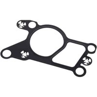 EGR Valve Gaske (SLP-1)
