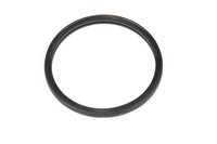 SEAL-ENG COOL TH (SLP)