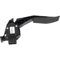 Accelerator Ped (SLP-P1)