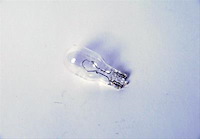 Light Bulb