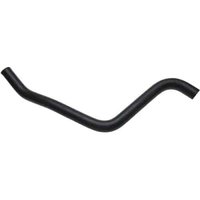 Lower Molded He (B)