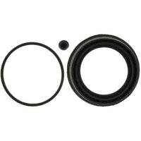 Front Disc Brak (B)