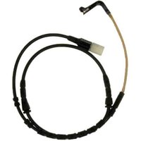 Front Electroni (SLP)