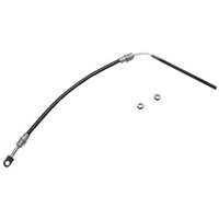 CABLE ASMPARK BR (SLP)