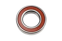 BEARING ASMTRFE (SLP-1)